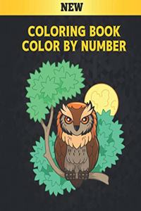 Coloring Book Color by Number