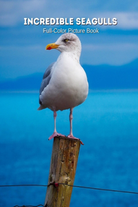 Incredible Seagulls Full-Color Picture Book
