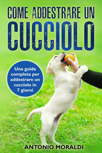 Come addestrare un cucciolo