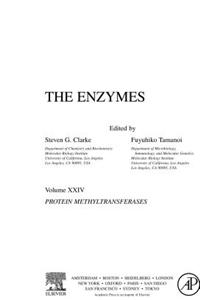 The Enzymes