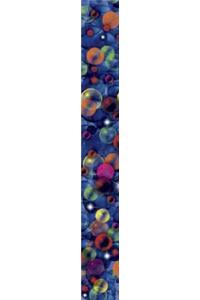 3D Bulletin Board Border Set