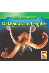 Octopuses and Squids