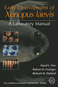 Early Development of Xenopus Laevis
