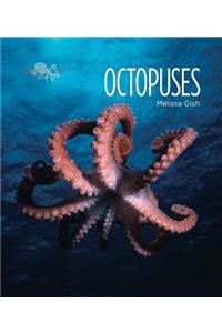 Octopuses