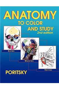 Anatomy to Color and Study 2nd Edition