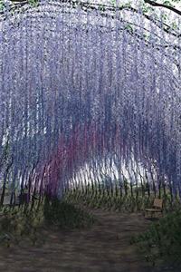 Blue Rain Wisteria Waterfall Journal