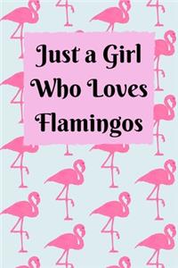Just a Girl Who Loves Flamingos