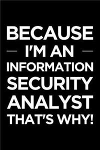 Because I'm an Information Security Analyst That's Why
