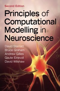 Principles of Computational Modelling in Neuroscience