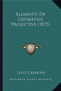Elements de Geometrie Projective (1875)