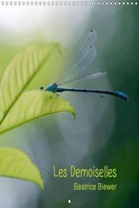 Demoiselles 2018