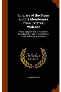 Injuries of the Brain and Its Membranes from External Violence