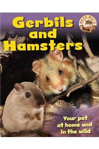 Gerbils and Hamsters