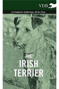 Irish Terrier - A Complete Anthology of the Dog