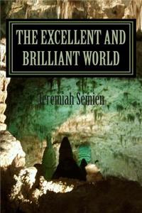 Excellent And Brilliant World