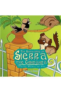 Adventures of Sierra the Chihuahua