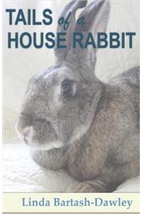 Tails of a House Rabbit