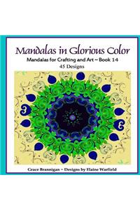 Mandalas in Glorious Color Book 14