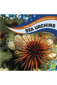 Sea Urchins