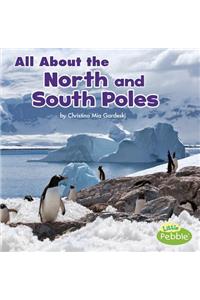 All about the North and South Poles