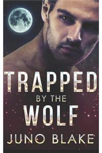 Trapped by the Wolf