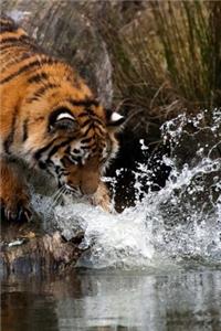 MindBlowing Cute Big Cats Journal 7
