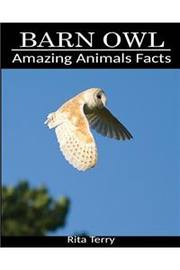 Barn Owl