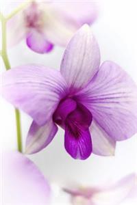 Purple Orchid Flower Journal