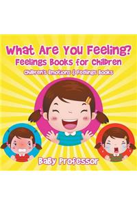 What Are You Feeling? Feelings Books for Children Children's Emotions & Feelings Books