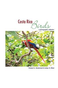 Costa Rica Birds