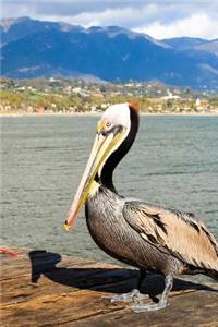 Solitary Pelican on the Wharf in California Journal