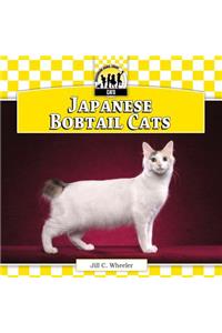 Japanese Bobtail Cats