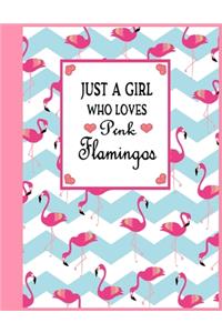 Just a Girl Who Loves Pink Flamingos