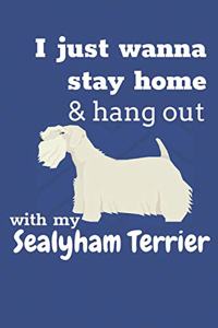 I just wanna stay home & hang out with my Sealyham Terrier