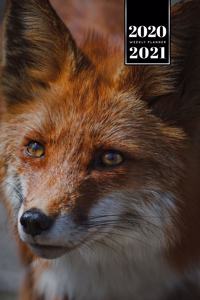 Fox Week Planner Weekly Organizer Calendar 2020 / 2021 - Focused Eyes