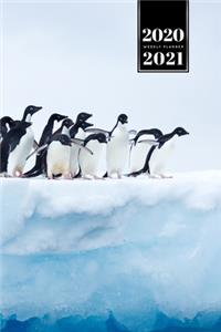 Penguin Puffin Antarctica Seabird Week Planner Weekly Organizer Calendar 2020 / 2021 - Do not Fall