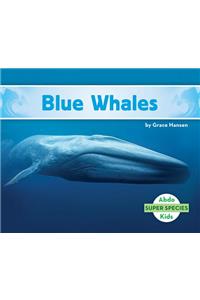 Blue Whales