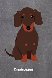 Dachshund