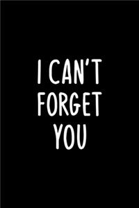 I can't forget You