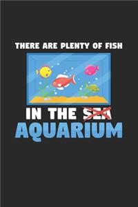 Plenty of fish in the aquarium