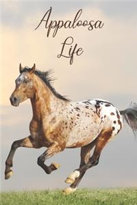 Appaloosa Life