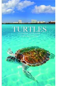 Turtles 5 x 8 Weekly 2020 Planner