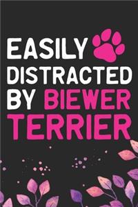 Easily Distracted by Biewer Terrier