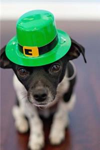 St Patrick's Day Chihuahua Dog Journal