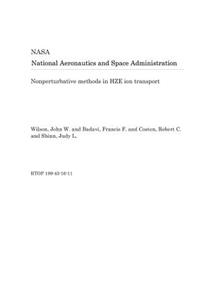 Nonperturbative Methods in Hze Ion Transport