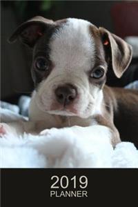 Boston Terrier Planner