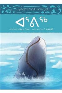 Animals Illustrated: Bowhead Whale (Inuktitut)
