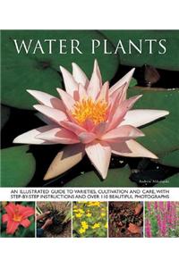 Water Plants