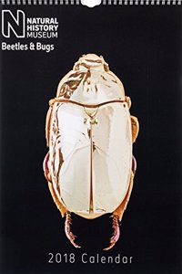 2018 Natural History Museum 2018 'Beetles & Bugs'