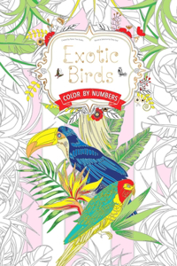 Exotic Birds US: Color by Numbers
